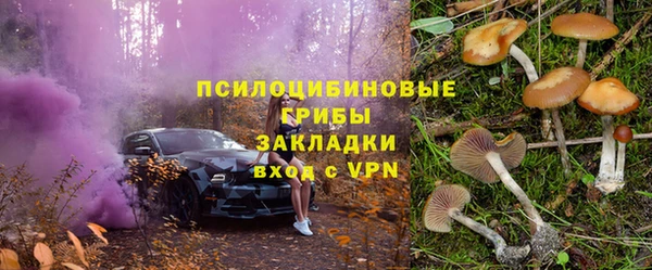 первитин Богданович