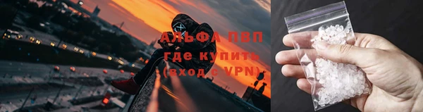первитин Богданович