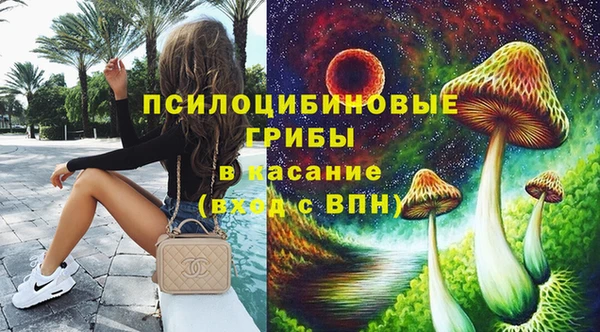 амф Богородск